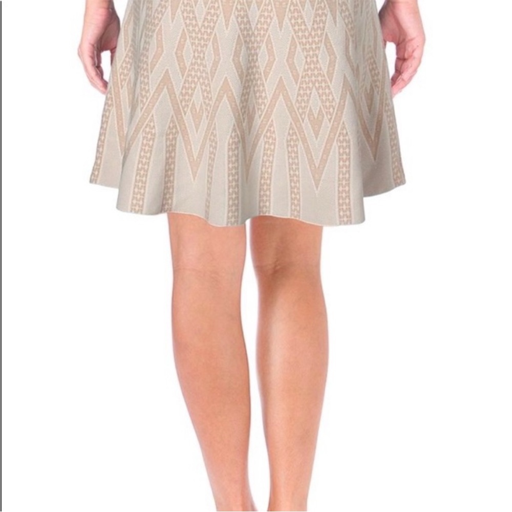 NWT ~ BCBGMAXAZRIA Nude Colored Chevron Design “Queeny” Skirt - Size XS